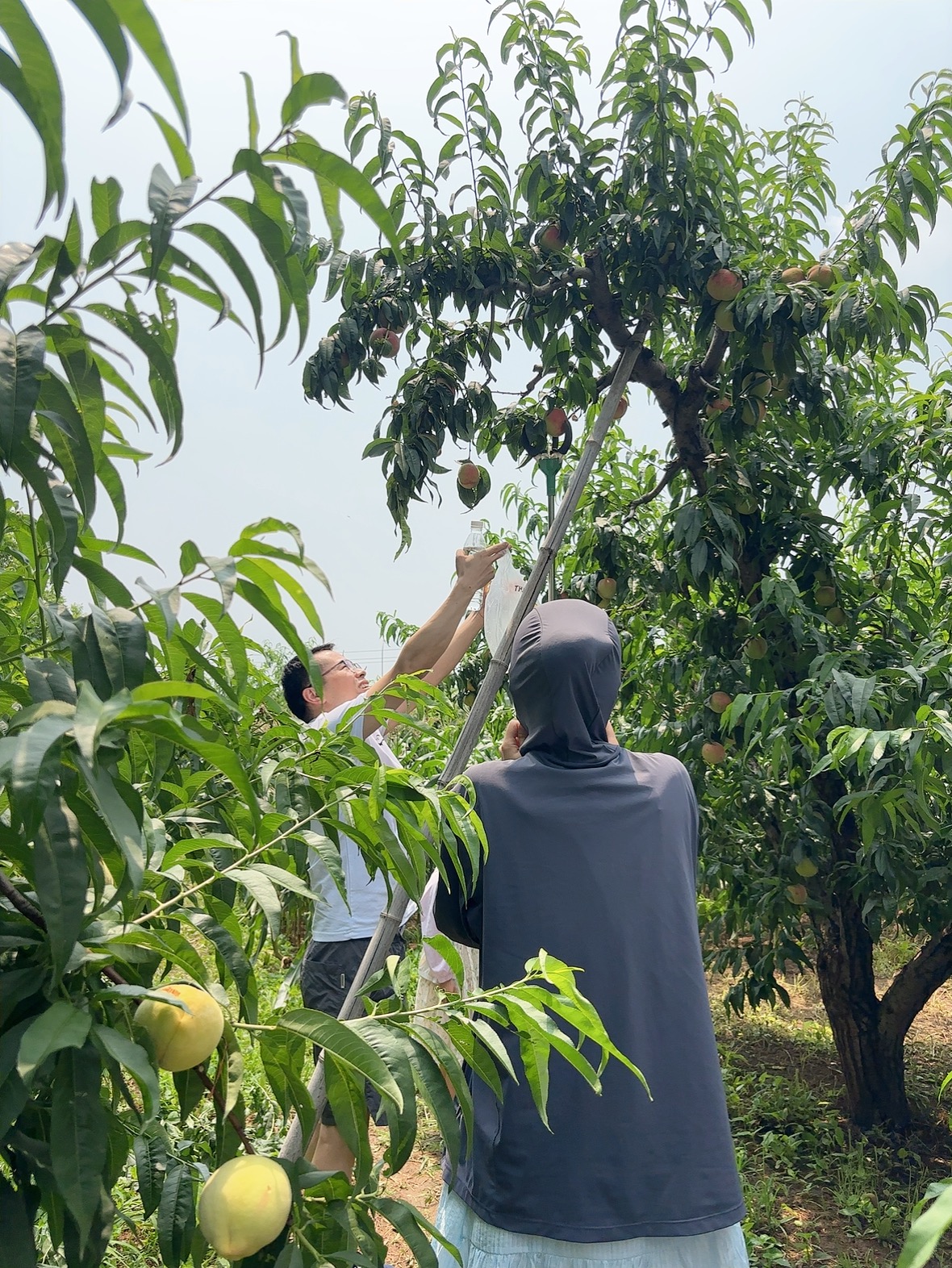 Beijing Zhongping Activité de Team Building — Embracing Nature3