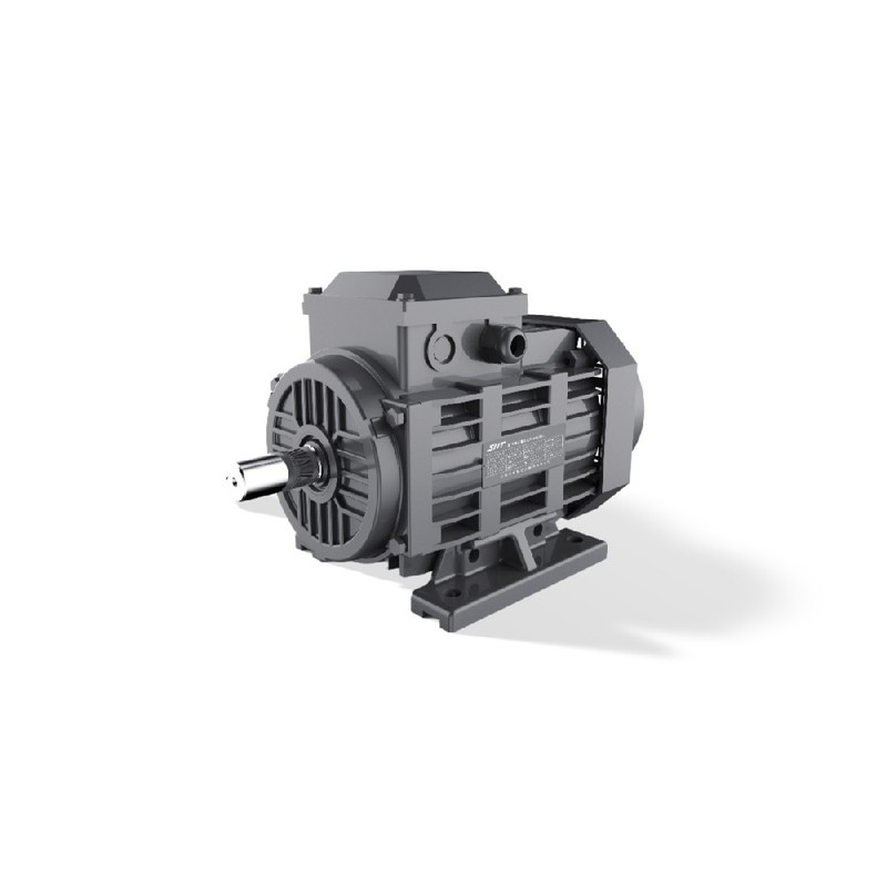 Moteur LSPM GESHI FTYP 0,55-15kW IE4 Démarrage direct IP55