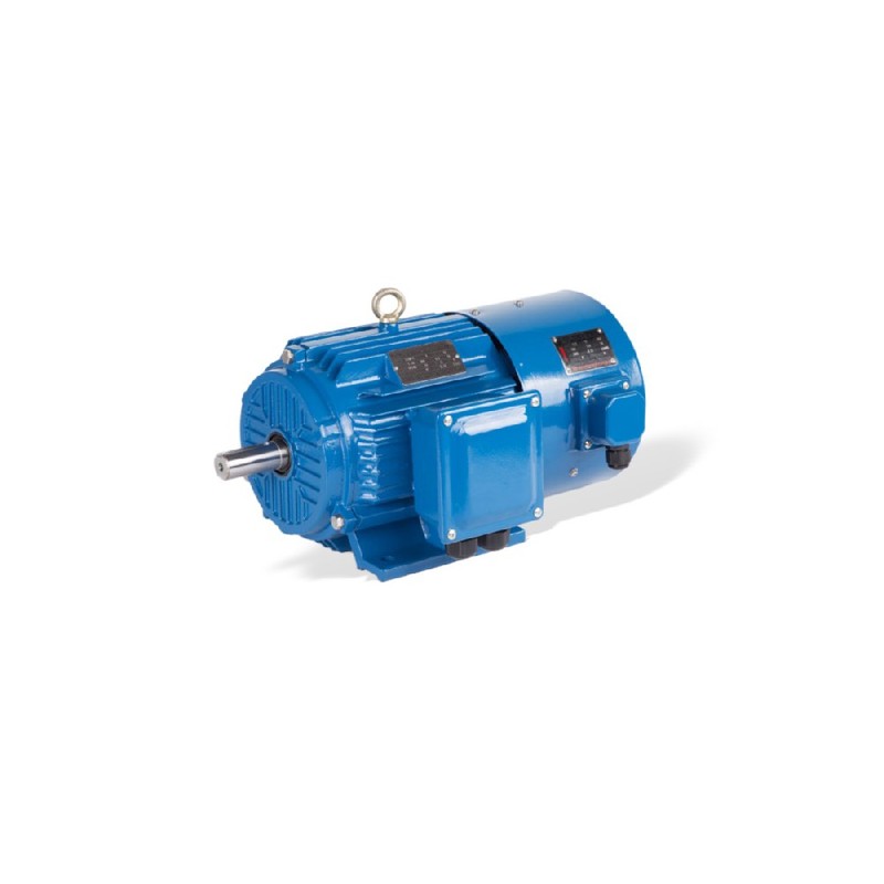 Moteur pour variateur GESHI YVF2 VFD 0,55-315kW IP54